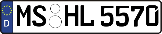 MS-HL5570