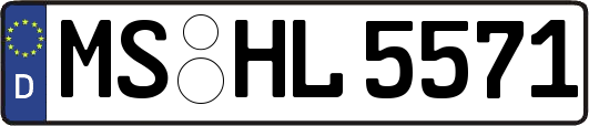 MS-HL5571