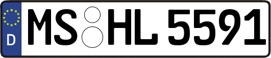 MS-HL5591