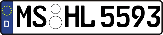 MS-HL5593