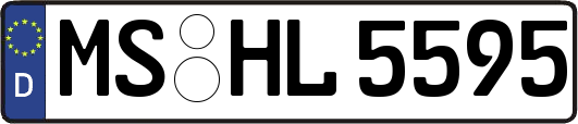 MS-HL5595