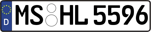 MS-HL5596