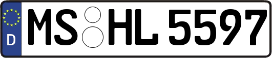 MS-HL5597