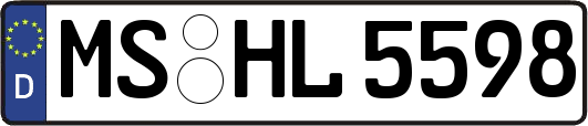 MS-HL5598