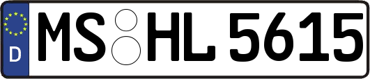MS-HL5615