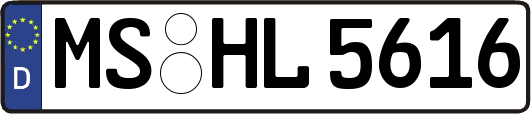 MS-HL5616