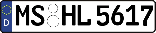MS-HL5617