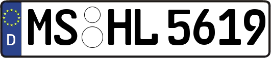 MS-HL5619