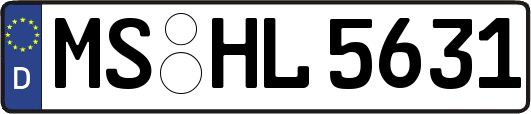MS-HL5631