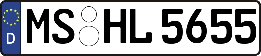 MS-HL5655