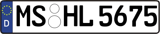 MS-HL5675