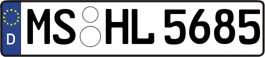 MS-HL5685
