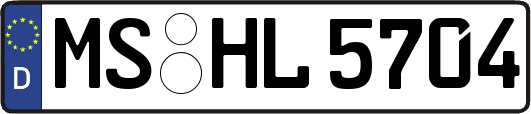MS-HL5704