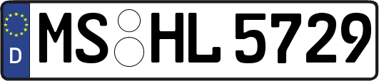 MS-HL5729