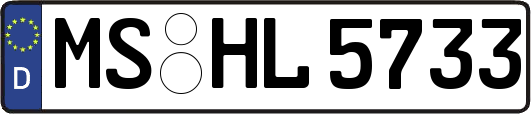 MS-HL5733