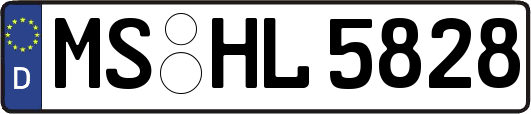 MS-HL5828