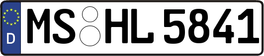 MS-HL5841