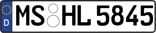 MS-HL5845
