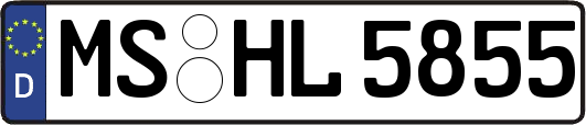 MS-HL5855
