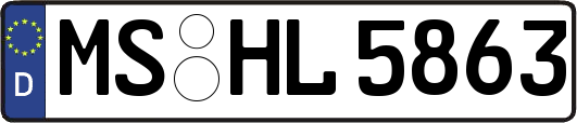 MS-HL5863