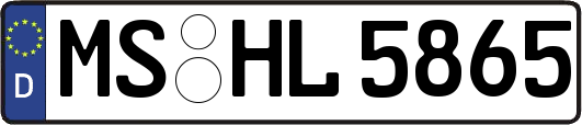 MS-HL5865