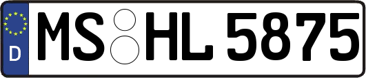 MS-HL5875
