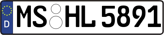 MS-HL5891