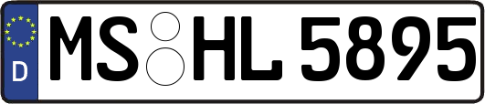 MS-HL5895