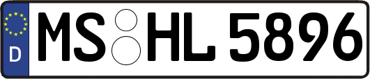 MS-HL5896