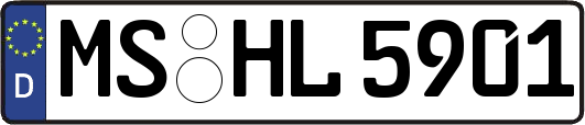 MS-HL5901