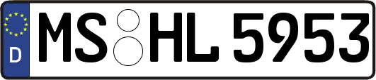 MS-HL5953
