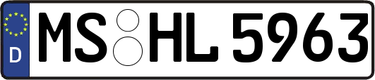 MS-HL5963