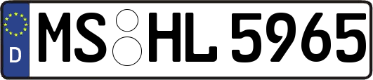 MS-HL5965