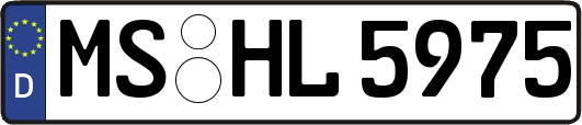 MS-HL5975