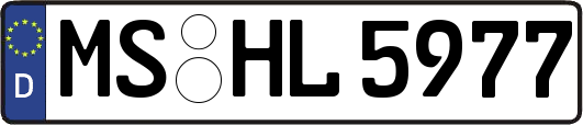 MS-HL5977