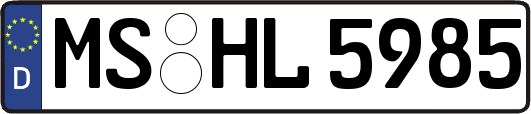 MS-HL5985