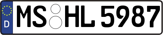 MS-HL5987