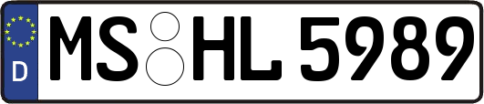 MS-HL5989