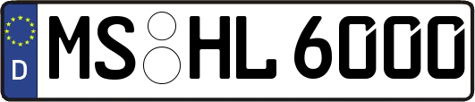 MS-HL6000