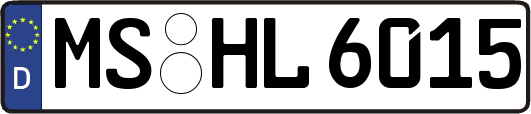 MS-HL6015