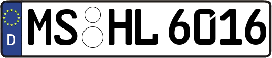 MS-HL6016