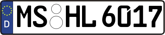 MS-HL6017