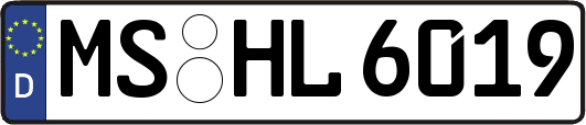 MS-HL6019