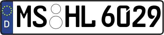 MS-HL6029