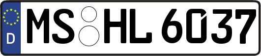 MS-HL6037