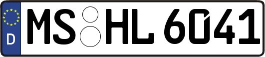 MS-HL6041