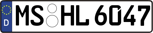 MS-HL6047