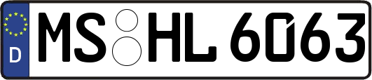 MS-HL6063