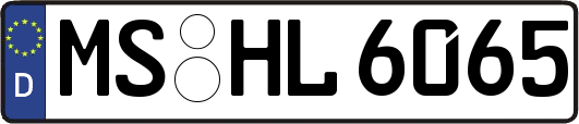 MS-HL6065