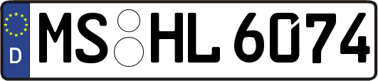 MS-HL6074